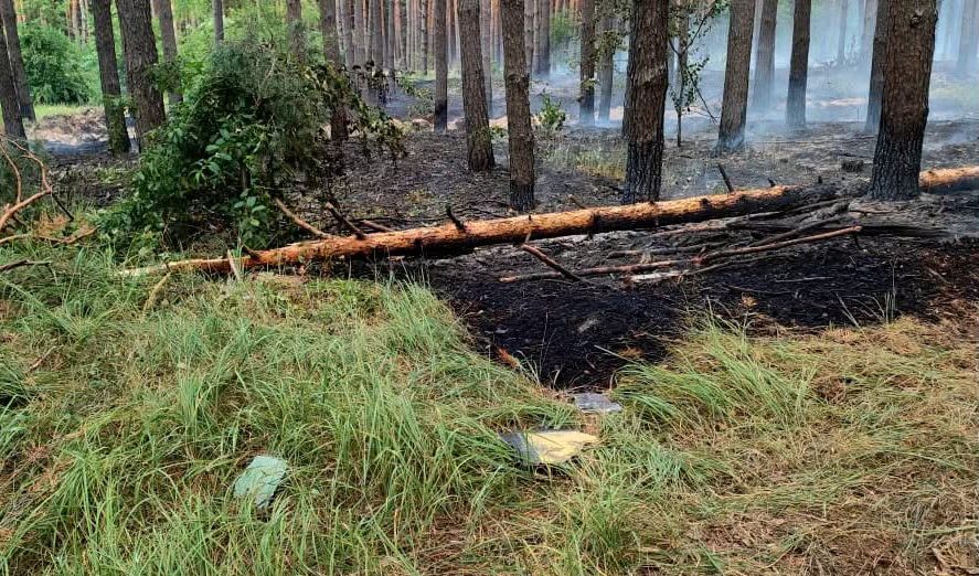 На Миргородщині через атаку дронів сталася лісова пожежа: вогонь знищив 0,8 га, врятовано 70-річний ліс
